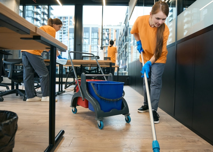 Pulizia uffici a Ercolano 80056