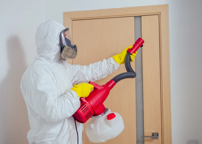 Trattamento contro le cimici dei letti a Trapani 91100