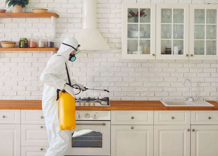 Trattamento contro le cimici dei letti a Pessano con Bornago 20042